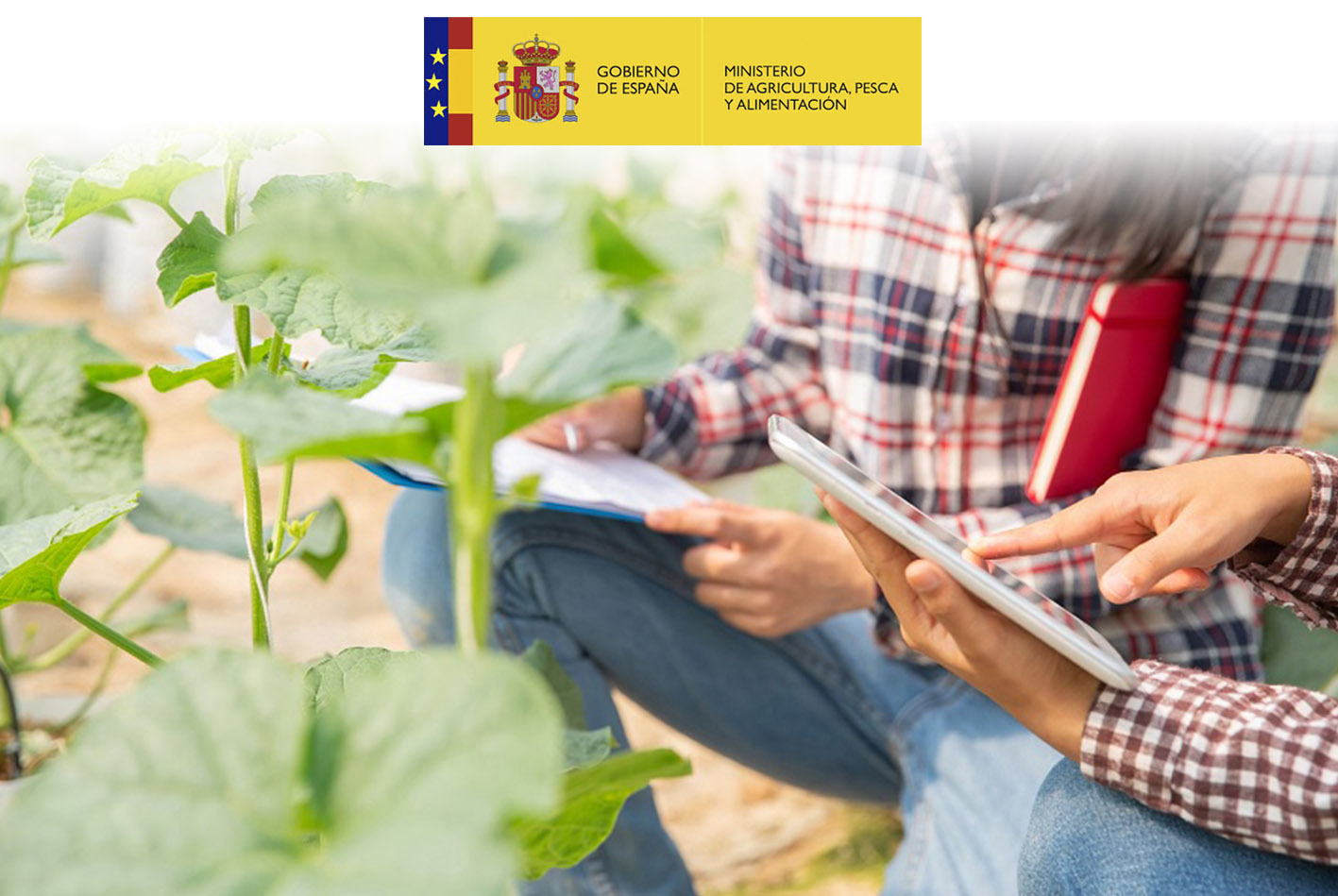 El Observatorio de la Digitalización en el Sector Agroalimentario lanza una encuesta online para conocer el grado de adopción de nuevas tecnologías digitales en la producción primaria y la industria