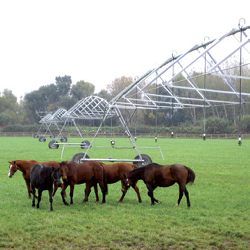 Pivot hipódromo RKD