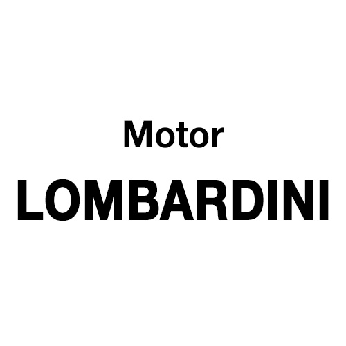 Recambio motor LOMBARDINI 9LD561-2/6