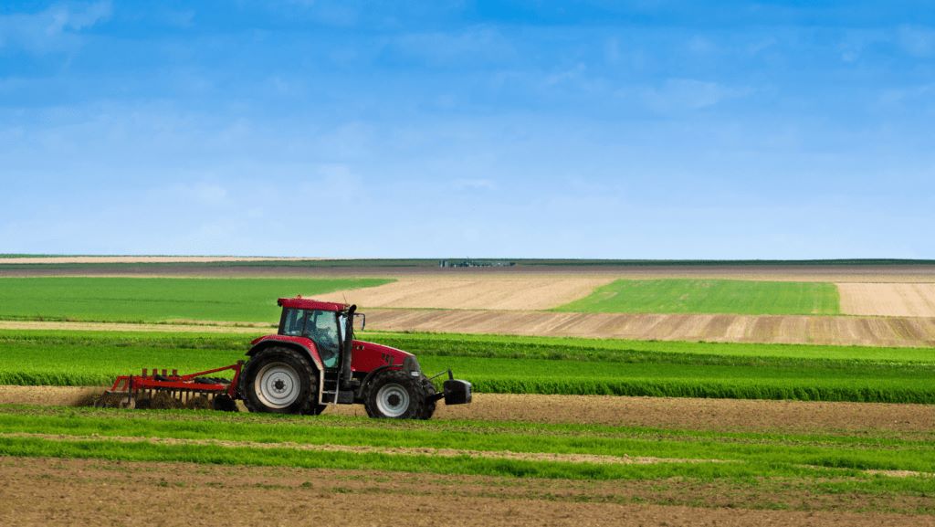 Curso de formación sobre la Implantación de sistemas de calidad PRL y medioambientales en empresas agroalimentarias