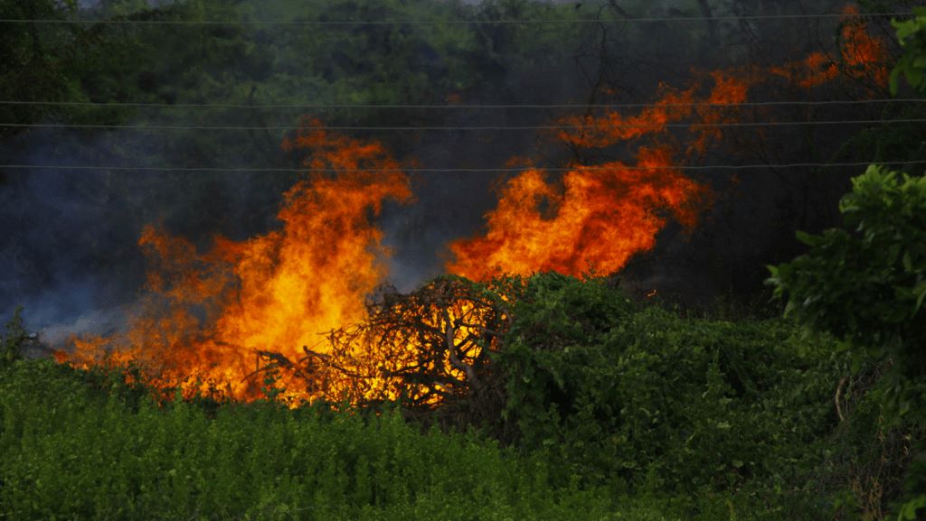 Curso de formación sobre los Sistemas de información geográfica aplicados a la defensa contra los incendios forestales con software libre