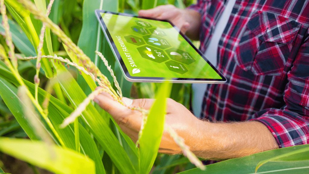 urso de formación de Sistemas de información geográfica aplicados a la Gestión agraria con software libre.