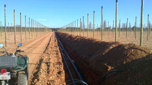 distribución y replanteo de rangos de arbolado y planos para el soporte de agricultura de precisión HIDROMATIC PONENT