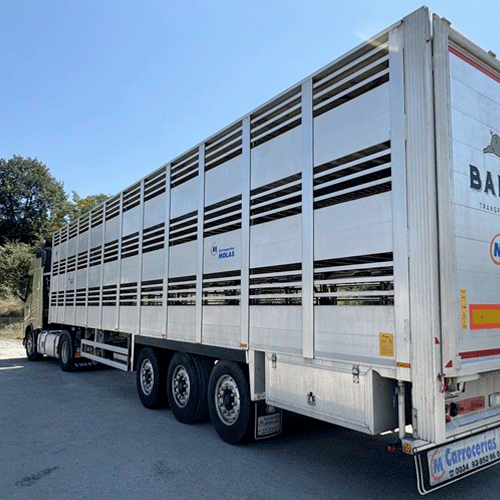 Tractora VOLVO de 3 ejes, chasis FERRUZ y carrocería MOLAS de segunda mano