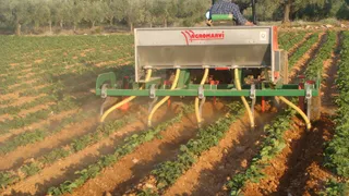 Binadora de 5 cuerpos extensible AGROMARVI en el campo