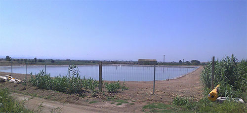 Ecobalsas.Mantenimiento de balsas para agua y purín, depósitos, canales.